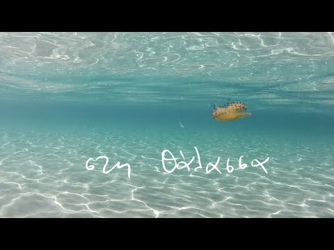 Οι ΜΙΚΡΟ διαθέτουν δωρεάν το νέο τους τραγούδι!