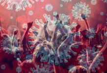 Αναβολή συναυλιών στο Θέατρο Βράχων, λόγω κορονοϊού…