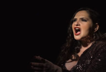 Ζωή Λιαντράκη – “Όπου θέλει ας βγει”