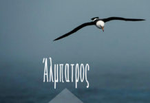 Περικλής Κυπραίος – “Άλμπατρος”