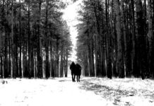 Para Lia – “Fade to grey”