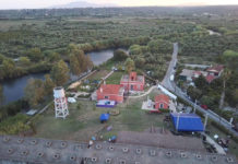 Σημαντικές συναυλίες στο Φεστιβάλ Δρόμου Καλαμάτας!