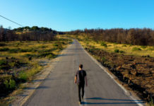 Στέλιος Δάβαρης – “Ρίζες”