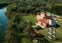 13ο Φεστιβάλ Δρόμου Καλαμάτας 2023 με πολύ δυνατές συναυλίες