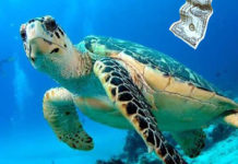 Γεωργία Δήμου – “Η Καρέτα Καρέτα”