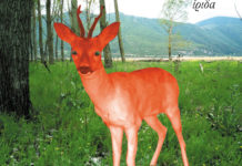 To νέο EP των Στέρεο Νόβα “Ίριδα” κυκλοφορεί σε 12ιντσο βινύλιο…