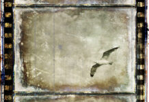 “Music for an unwritten film”, το νέο album του Κώστα Μπουκουβάλα