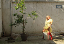 Κυκλοφόρησε το νέο album Aristophobia Nervosa της Lia Hide