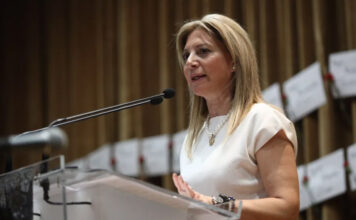 Ψυχραιμία αδέλφια! Μια ψύχραιμη άποψη περί Καρυστιανού…