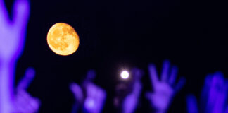 Το “Plastiras Lake Festival” έρχεται και αυτό το καλοκαίρι! Δείτε το line-up