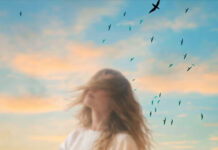 Παυλίνα Βουλγαράκη – “Το μυστήριο”