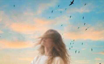 Παυλίνα Βουλγαράκη – “Το μυστήριο”