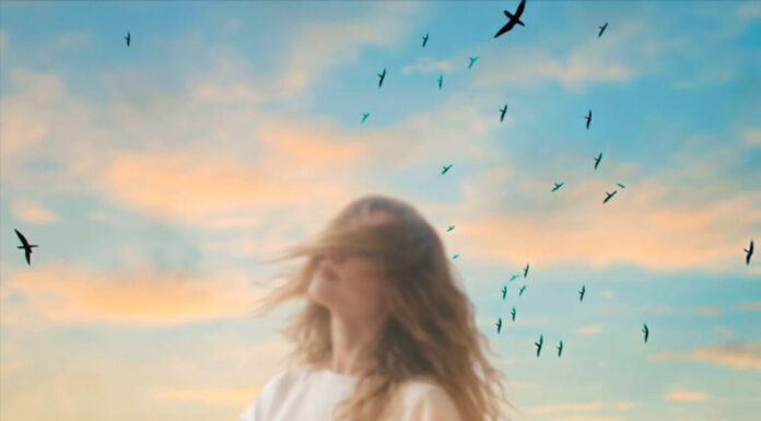 Παυλίνα Βουλγαράκη – “Το μυστήριο”